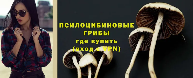 Галлюциногенные грибы Magic Shrooms  Котельнич 